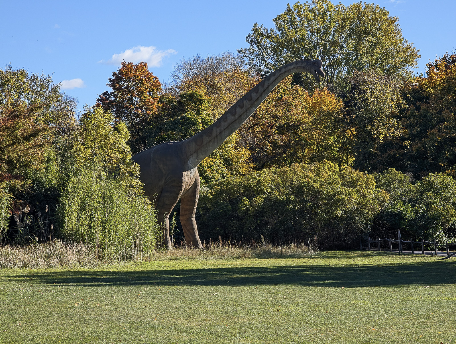 20251018 Tierparkzeichnen Impressionen 4