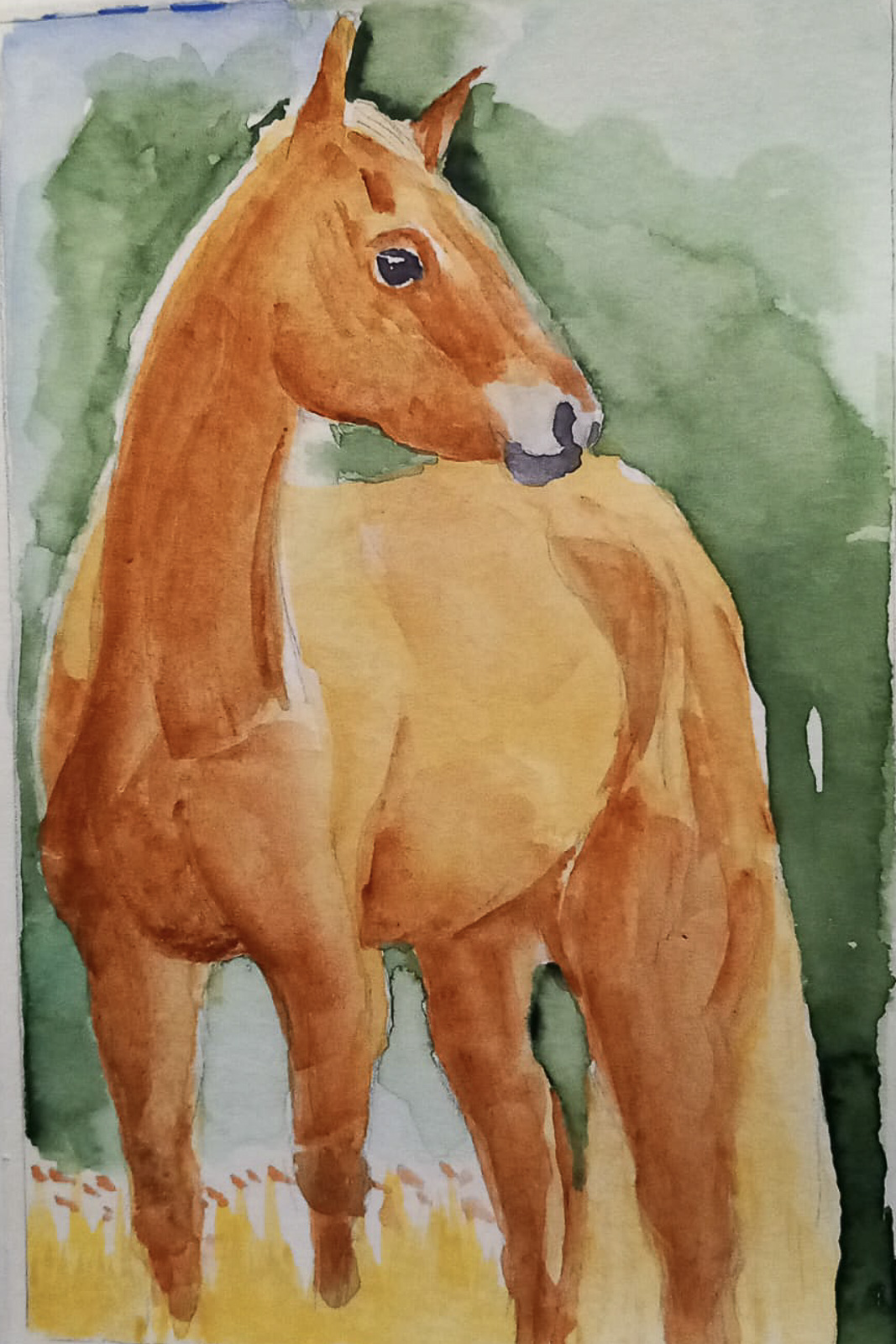 29251200 Hans Ganzer Skizze 13