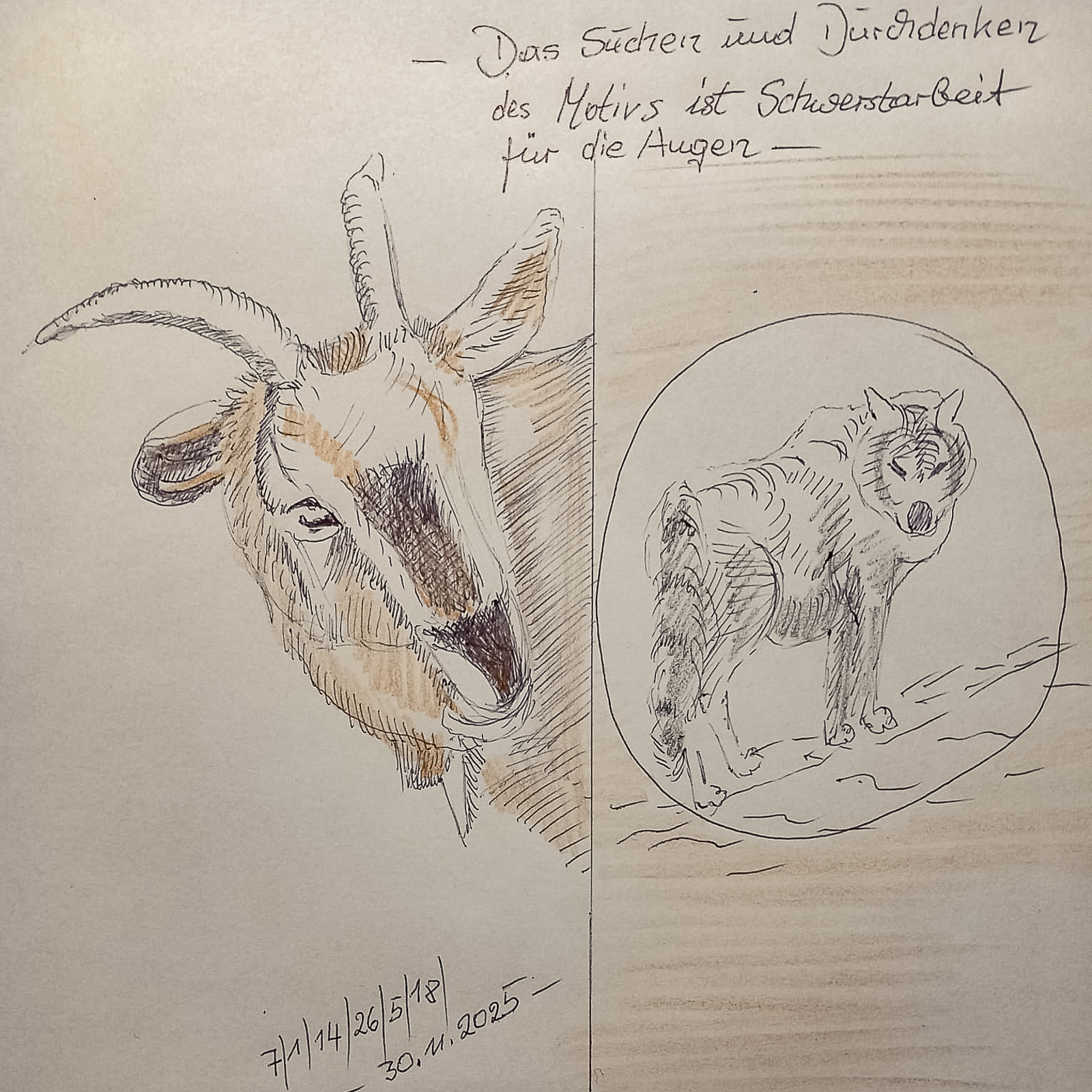 29251200 Hans Ganzer Skizze 4