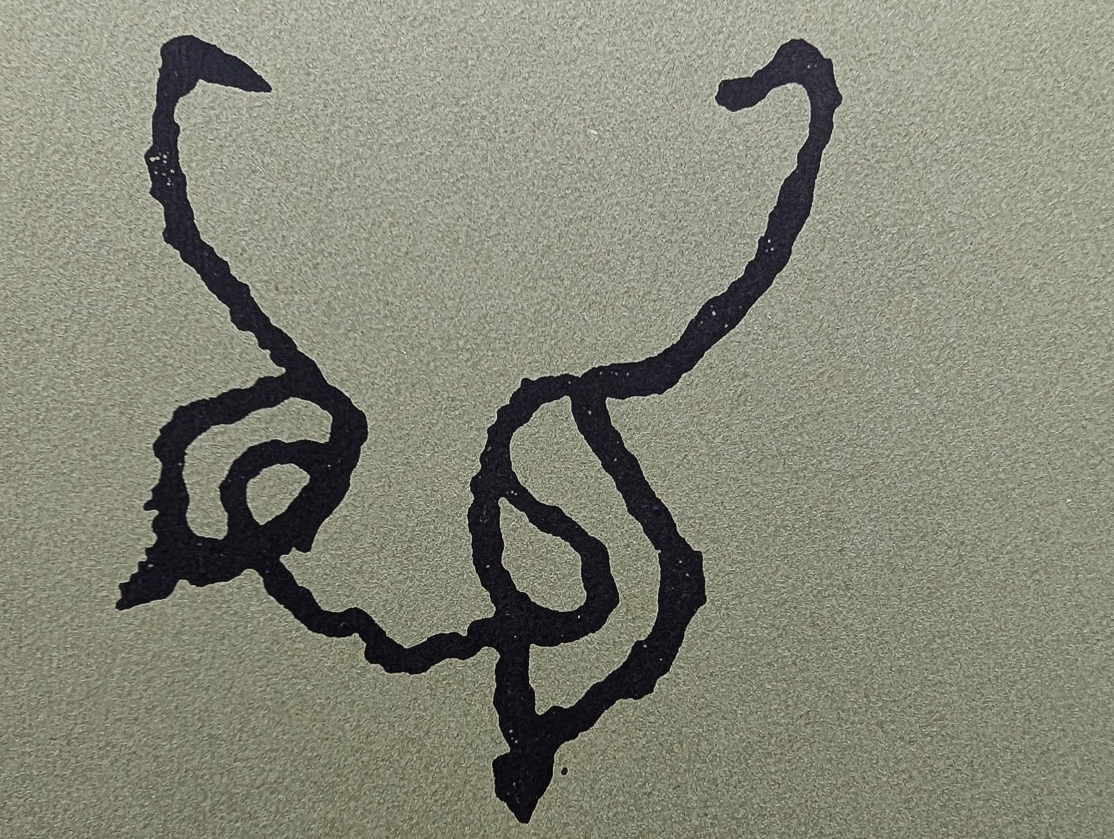 20260317 Diavortrag Werner Laube   Karelien Felsenbilder 3