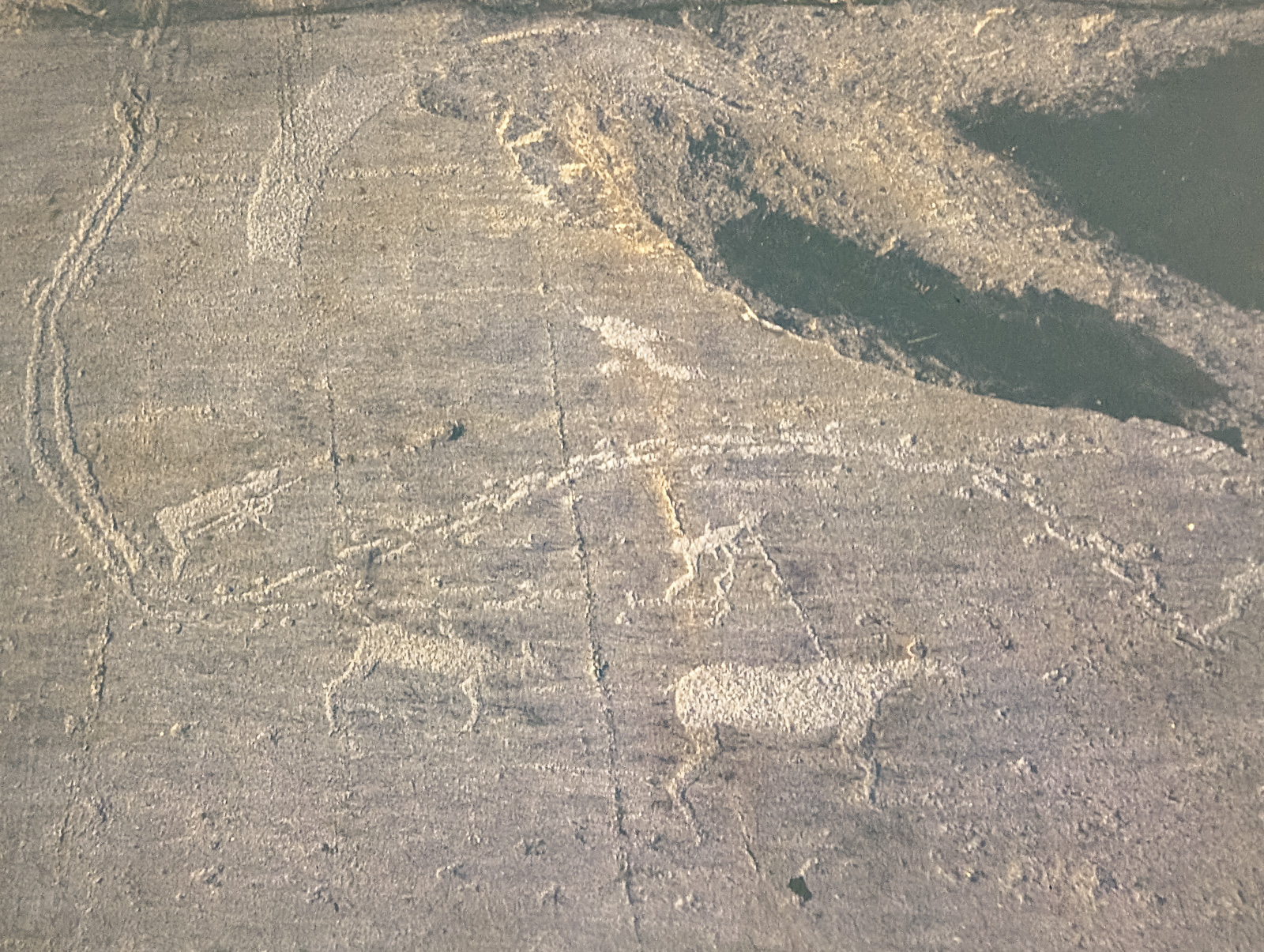 20260317 Diavortrag Werner Laube   Karelien Felsenbilder 9