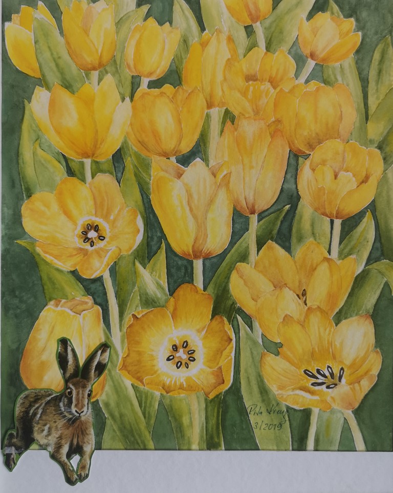 201 Gelbe Tulpen Mit Häschen Aquarell Mit Collage Rita Krenz