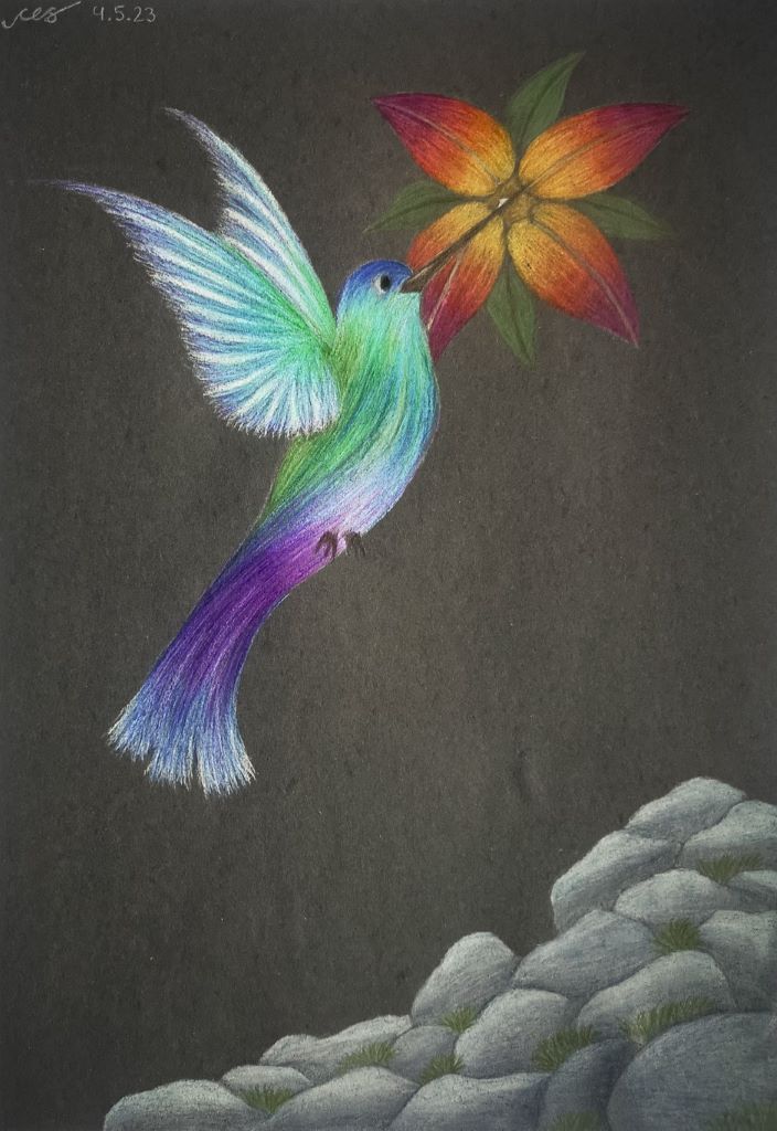 Tiere Kolibri mit Bluete Buntstift Celina 13J