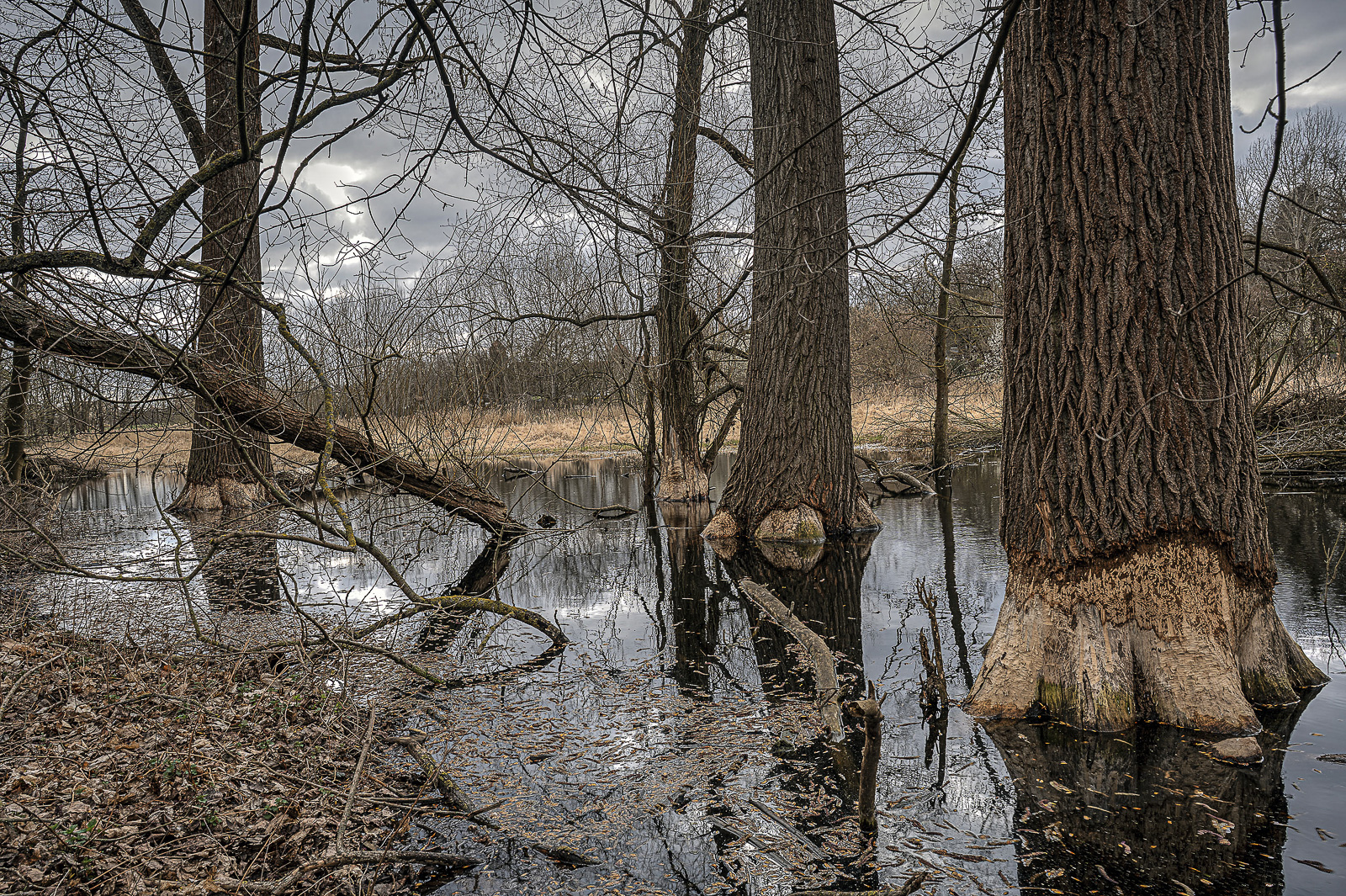 20291019 Fotoausstellung Wuhletal 3